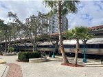 Amtrak Silver Meteor Train # 98 stopped at WPB with palm trees in the foreground